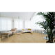 Exquisit Laminat Plus 4692 Barcelona