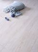 Exquisit Laminat Plus 4694 Madrid Oak