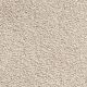 Bounty Beige Vegg til Vegg teppe