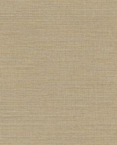 Canvas 313501