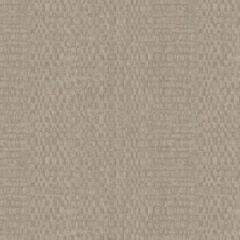 Canvas 313536